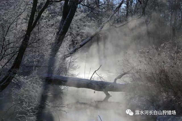极限竞速7
